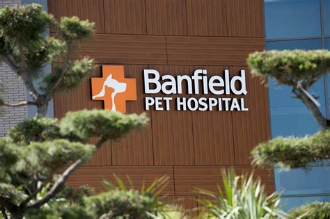 Banfield pey hospital. Bring your dog or cat to our veterinary clinic in San Francisco, CA. Call (415) 921-0410 or schedule your appointment online. Banfield’s here for the love, health and happiness of your pet Banfield Pet Hospital ® - Marina provides quality and attentive health and wellness care for dog, cat and small animal pet patients. ... 