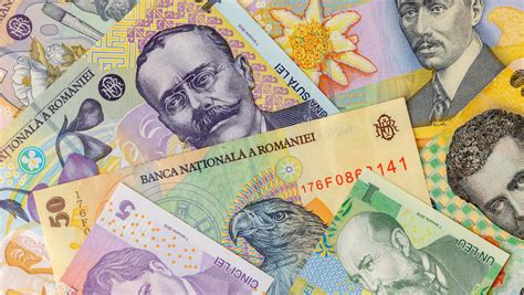 Bani Halı ve Koltuk Yıkama