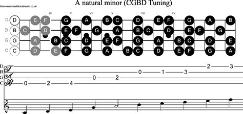 Banjo scale finder easy to use guide to over 1 300 banjo scales. - Ecg semiconductors master replacement guide gratis.