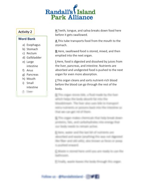 Bank Word Answer Sheet System Digestive