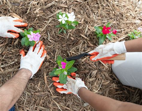 Bank of America Volunteer grants - grants for volunteer work