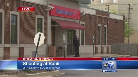 Find 6 listings related to Bank Of America On Stony Island 