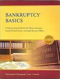 Bankruptcy basics a step by step guide for pro bono attorneys. - Catálogo colectivo nacional de publicaciones periódicas en tecnología y ciencias aplicadas..