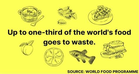 Banning food to landfill: Learnings for Australia - LinkedIn