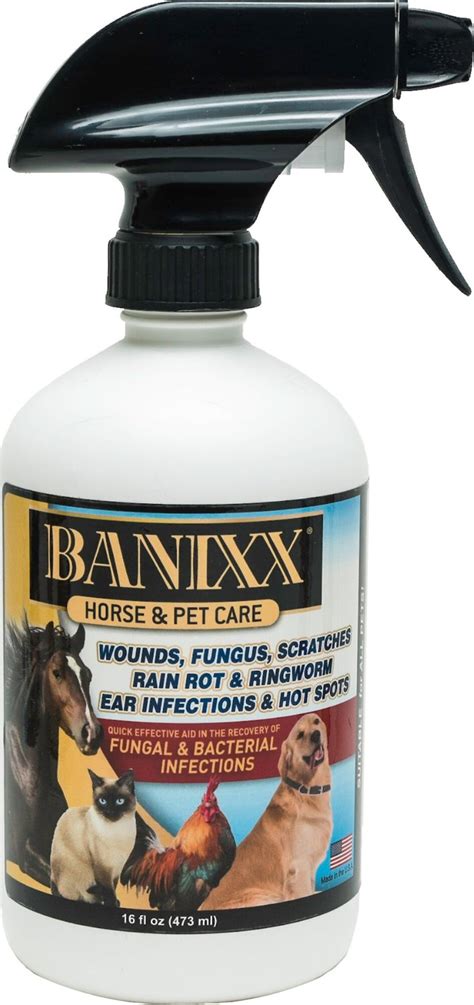 Generally speaking, Banixx Pet Care will do an excellent job at removing these stains. Simply apply Banixx liberally to sterile gauze and wipe these areas gently. Depending on severity, you may need to clean this area with Banixx every day, weekly or once a month. You are the best judge of how often to do this. 