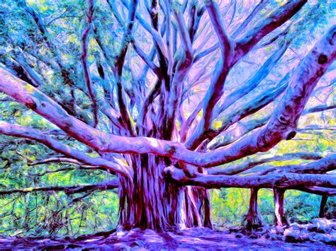 Banyan Art - Fine Art America