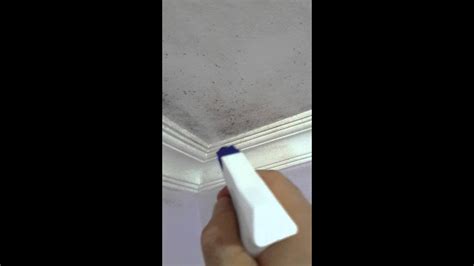 Banyo tavan boyası dökülüyor