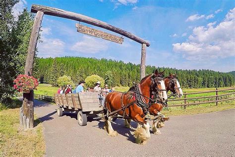 Bar w guest ranch. A small ranch in Whitefish, Montana that offers horseback riding, fly fishing, hiking, and other activities. Tailored riding and activities for guests of all ages and skill levels, and a cancellation policy with fees. 