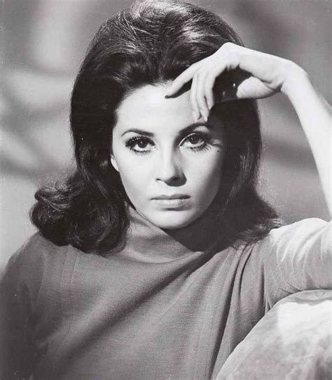 Barbara Parkins of Peyton Place and Valley of The Dolls. 3,118 likes · 20 talking about this. This page is for all the fans of actress Barbara Parkins who starrred in the tv series PEYTON PLACE and....