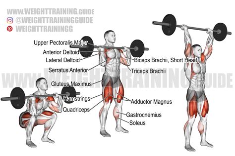 Barbell thrusters. The barbell hip thrust with bench increases strength and power in the hamstrings and glutes. The exercise also improves stability throughout the core and lower back. Instructions. Lie with your upper back supported on a bench, and your feet planted on the floor in front of you. Hold a barbell across your hips. 