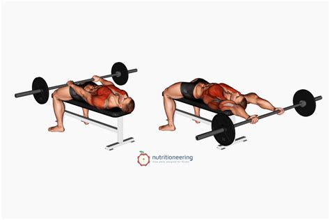 Barbell workout routine at home.  Chest exercises.  Push exercises, such as bench...