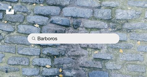 Barboros Halı ve Koltuk Yıkama