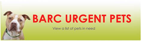 Barc animal shelter and adoptions. Things To Know About Barc animal shelter and adoptions. 