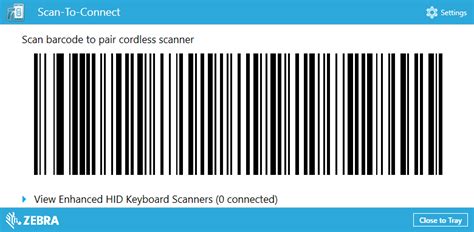 Barcode Scanner cannot output correctly to browser