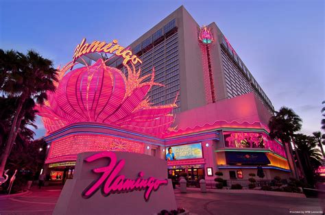 Bares de casino flamingo.