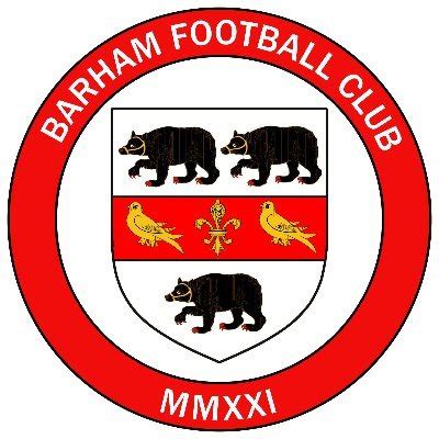 Barham FC - https://www.thefa.com/news/2024/apr/08/grassroo.