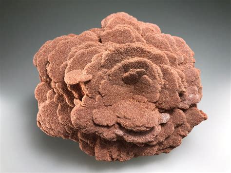 About Desert Rose Hide. A (more or less) rose-like crystal group formed by precipitation in (usually) arid desert regions containing trapped sand particles. Usually, gypsum is the host mineral ( Gypsum Rose ), but baryte ( Baryte Rose ), celestine and other minerals can form Desert Rose groups, too.. 
