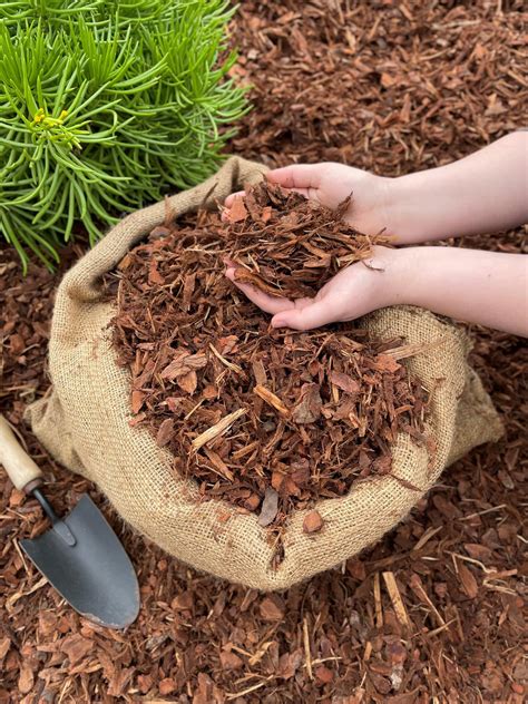 Bark Mulch & Mushroom Soil Delivery Available. - Greenwood …