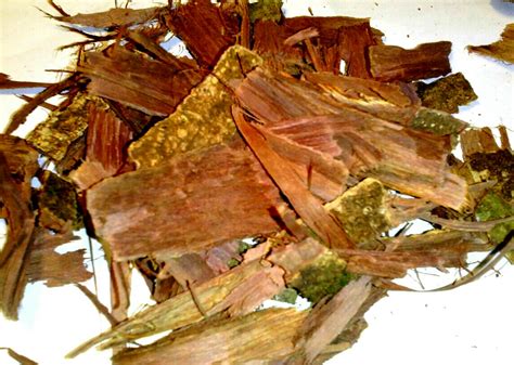 Bark for dmt. Mimosa hostilis root bark (MHRB) is widely available in powdered form and contains up to 1% DMT. The powdered root bark is usually boiled and taken after a harmine or harmaline containing plant such as Banisteriopsis caapi or Peganum harmala. Harmine and harmaline are monoamine oxidase inhibitors which make the DMT active orally and are quite ... 