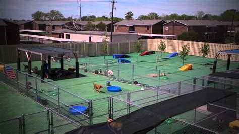 Barkefellers - The Global Pet Daycare & Lodging Market size was estimated at USD 1,123. 23 million in 2021 and expected to reach USD 1,202. 64 million in 2022, and is projected to grow at a CAGR 7. 32% to reach ...