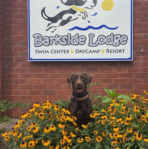Barkside Lodge, Lenoir City, Tennessee. 1,311 likes · 46 talking about this · 263 were here. Our goal at Barkside Lodge is to provide a fun and safe place for dogs to play, stay, swim, and be p. 