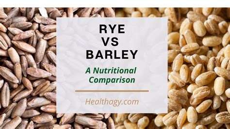 Barley vs rye.  This grain may also help with weight loss.  Learn about barley's ben...