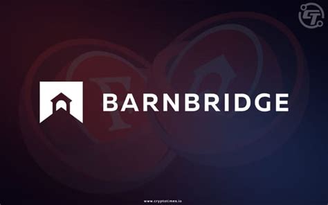 BarnBridge DAO Penalties: A Parallel Narrative