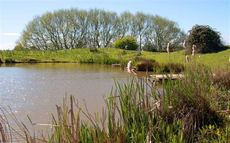 Barnacre Fishery - Home