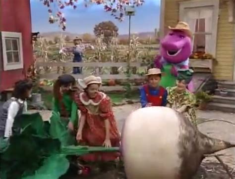 Barney pull turnip. Liz Kitchen returns with more songs, rhymes and listening games to join in with and the story of ‘The Enormous Turnip.’ This makes a good marching song. Give children instruments to play (e.g ... 