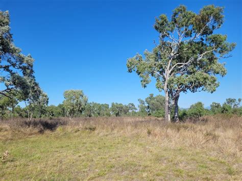 Barratta Creek camping area, Bowling Green Bay