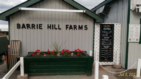 Barrie Hill Storage - 3169 Barrie Hill Rd, Springwater, ON L9X 1S8, …