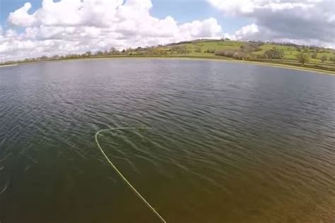 Barrow Tanks, Bristol Fishery Guide