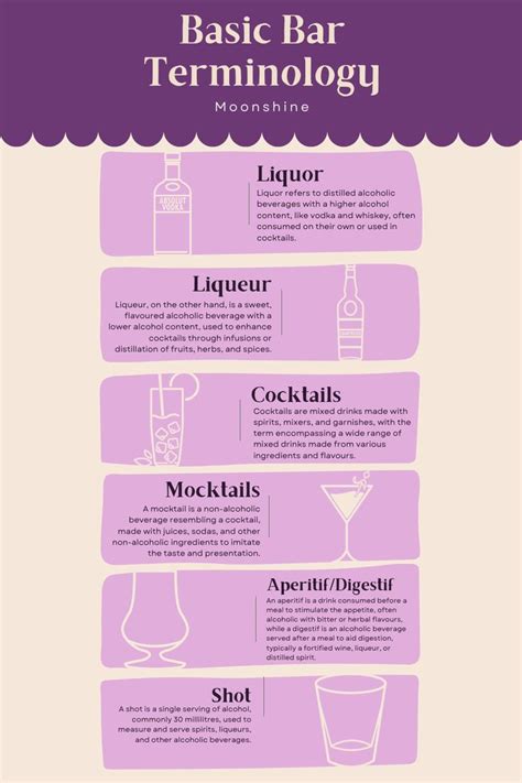 Bartending Basics Bar Terminology Cheat Sheet [Infographic] in 2023