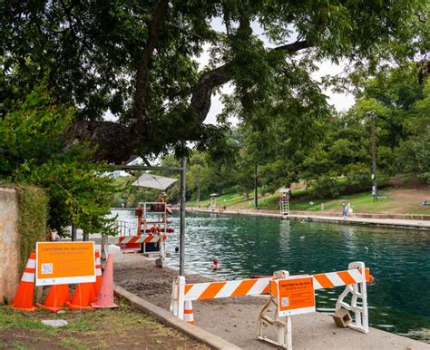 Barton Springs pecan tree ‘Flo’ diagnosed with infection