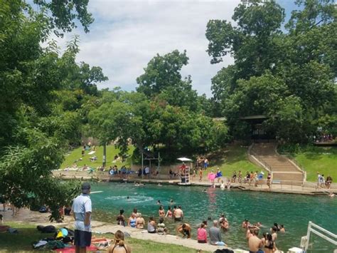 Barton Springs tree 'Flo' scheduled for removal, city to hold celebration of life