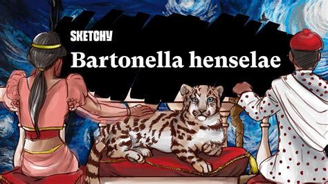 Bartonella henselae sketchy. Bartonella henselae is the microorganism responsible for CSD. It is found in feline erythrocytes and fleas, which can contaminate saliva and then be introduced into humans through biting and ... 