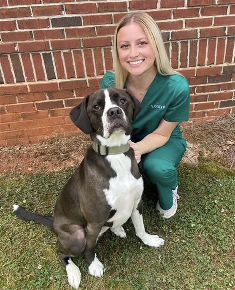 Bartow animal hospital. Things To Know About Bartow animal hospital. 