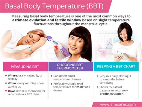 When it comes to basal body temperature, ovulation is a key d