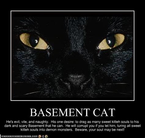 Basement Cat - Etsy