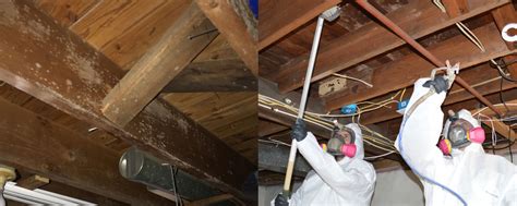Basement mold remediation. If you’re fortunate enough to own a 2 bedroom townhouse with a basement, you have an excellent opportunity to maximize your storage space. Basements are often underutilized areas t... 