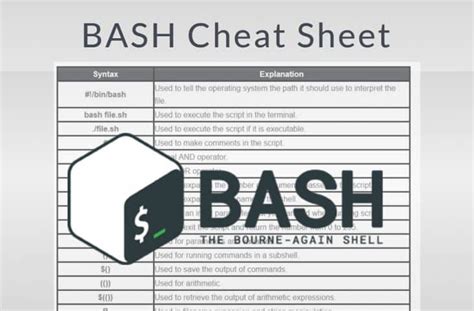 Bash Cheat Sheet Updated for 2023 from Basics to Shell Builtins