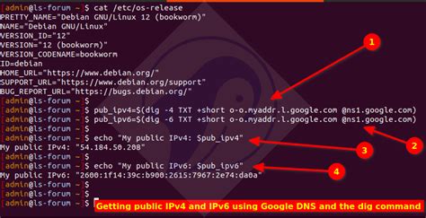 Bash Shell Command to Find or Get IP address - nixCraft