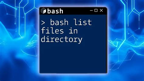 Bash User Guide