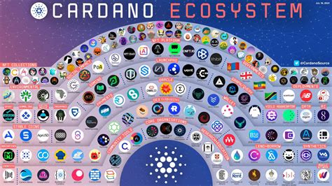 wider ecosystem concept
