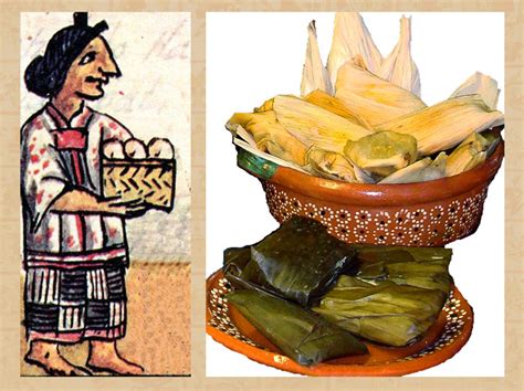 Basic Aztec facts: AZTEC FOODS - Mexicolore