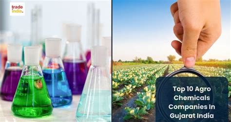 Basic Chemical Manufacturing Companies in Gujarat, India