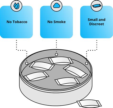 Basic Concepts of Nicotine Pouches