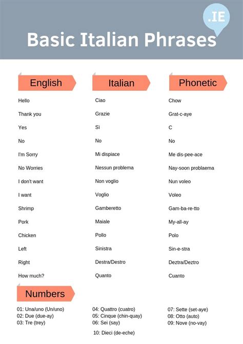 Basic Italian Words