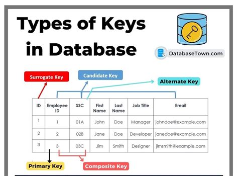Basic Keys That Make Database Management Easy