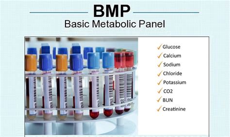 Basic Metabolic Panel (PRISMA HEALTH)